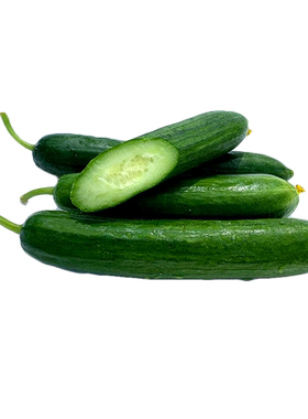 新鲜水果黄瓜500g 现采现摘荷兰黄瓜短小黄瓜 新鲜蔬菜沙拉食材