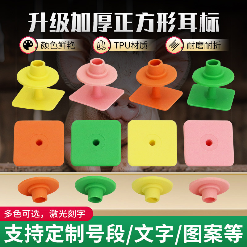 牧多多猪用耳标牌方形小猪耳号牌兽用无字耳标牛羊母猪定制标记牌