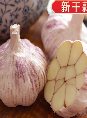 2025干蒜大蒜头紫白皮大蒜今年干大蒜大个头蒜香浓郁200克-5斤