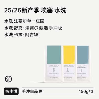 BIGSUR25/26新产季埃塞水洗系列