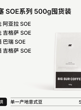 BIG SUR 浅烘SOE系列 水洗阿亚拉/吉格萨 日晒巴瑞/吉格萨 500g
