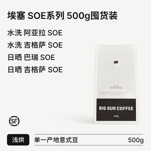 SUR 日晒巴瑞 浅烘SOE系列 吉格萨 500g 水洗阿亚拉 BIG