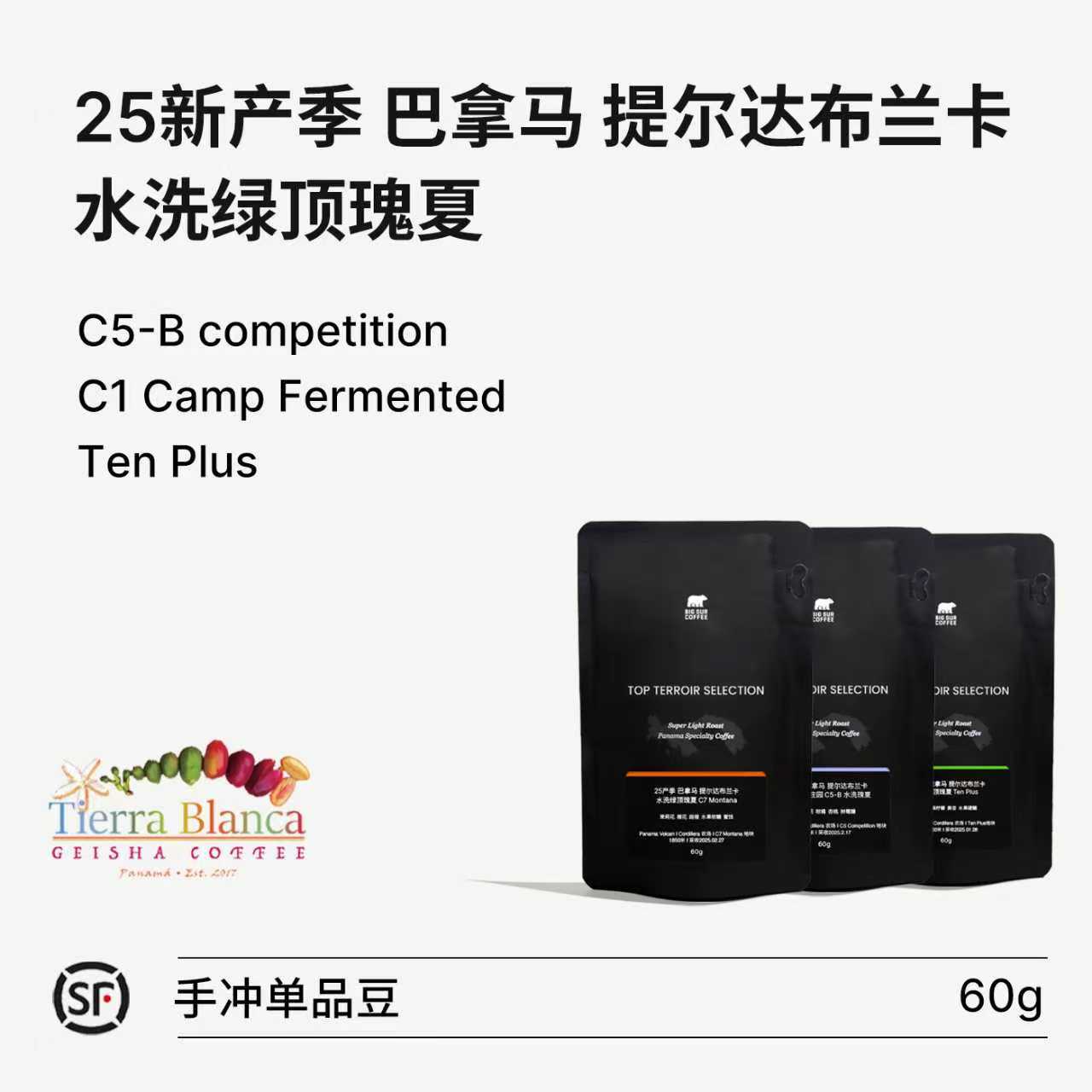 BIGSUR提尔达布兰卡绿顶瑰夏