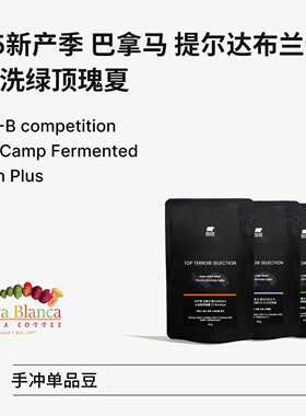 BIG SUR 2025新产季巴拿马 提尔达布兰卡庄园 水洗绿顶瑰夏