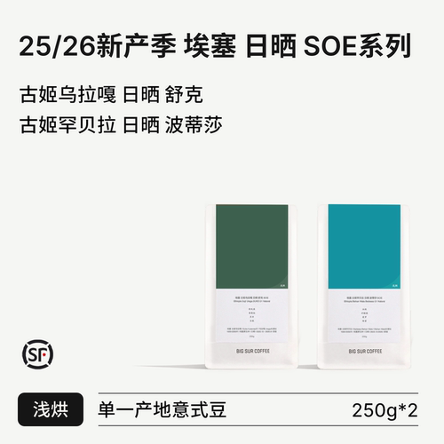 BIGSUR新产季埃塞日晒浅烘SOE