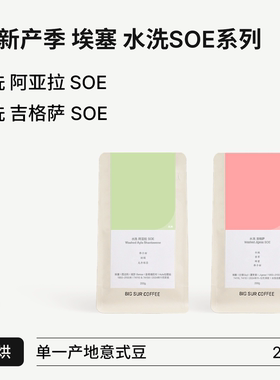 BIG SUR 25新产季埃塞 水洗浅烘SOE系列 水洗阿亚拉/吉格萨 200g