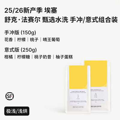 BigSur埃塞舒克·法赛尔甄选水洗
