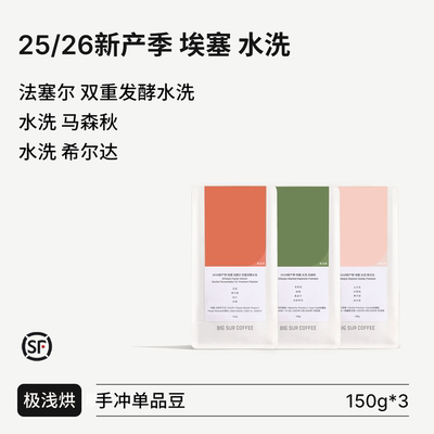 BIGSUR25/26新产季埃塞水洗