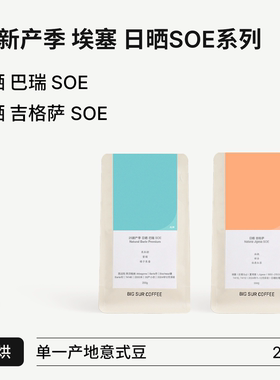 BIG SUR 2025新产季 埃塞日晒浅烘SOE系列 日晒巴瑞/吉格萨 200g