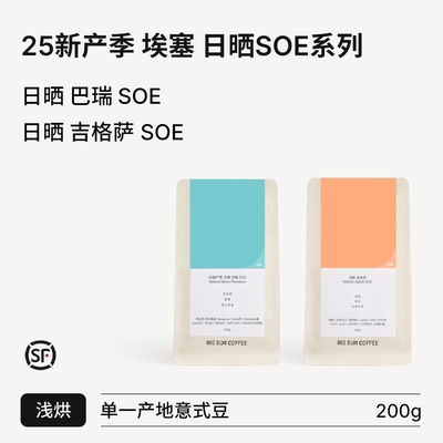 BIGSUR日晒巴瑞/日晒吉格萨SOE