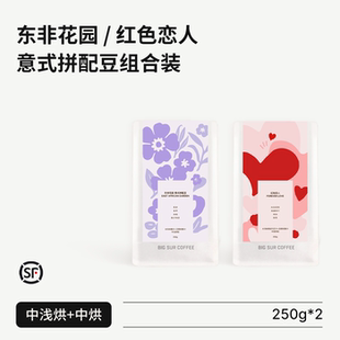 中浅烘焙东非花园 BIG 拼配豆组合装 意式 中度烘焙红色恋人 SUR
