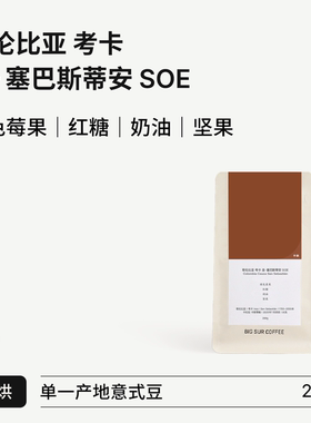 BIG SUR 深色浆果 红糖 哥伦比亚考卡圣·塞巴斯蒂安SOE中度烘焙