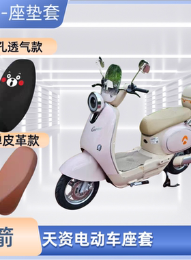 专用金箭天资TDT4045Z电动车专用座套电瓶车皮坐垫套防晒防水通用