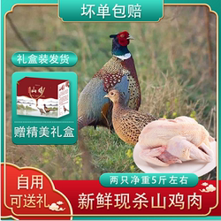 2只装年货礼盒农家散养七彩山鸡野鸡活体现杀山鸡肉雉鸡新鲜鸡肉