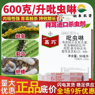 德国拜耳高巧 吡虫啉 玉米水稻花生蚜虫蓟马蛴螬拌种剂农药杀虫剂