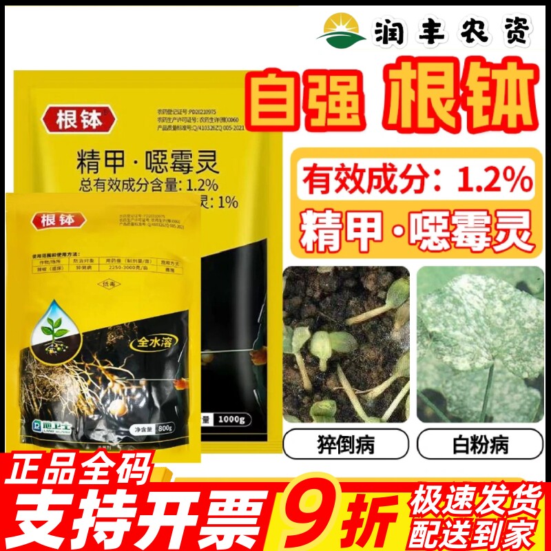 根钵1.2%精甲噁霉灵猝倒病