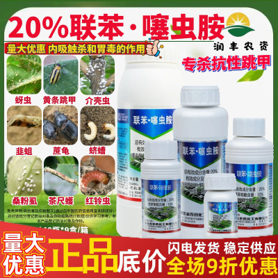 噻虫胺黄条跳甲蓟马联苯菊酯