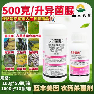 蓝丰美因 50%异菌脲 苹果树斑点落叶病番茄灰霉病疫病农药杀菌剂