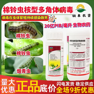 勇冠蛤蟆王 棉铃虫核型多角体病毒 棉铃虫棉花辣椒农药杀虫剂