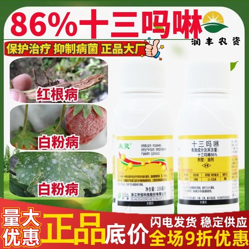 86%十三吗啉红根病农药杀菌剂