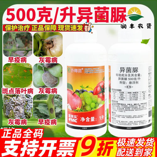 富美实异菌脲扑海因灰霉病早疫病