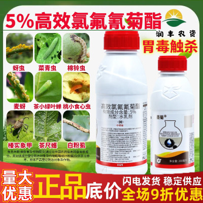 中化墨菊高效氯氟氰菊酯菜青虫