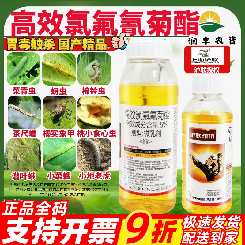 5%高效氯氟氰菊酯菜青虫食心虫图片