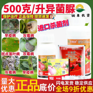富美实扑海因异菌脲葡萄月季灰霉病叶斑菌核病晚早疫病农药杀菌剂