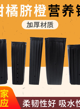 厂家供应柑橘脐橙营养钵加厚不易变形细长黑色育苗柑橘盆支持订货