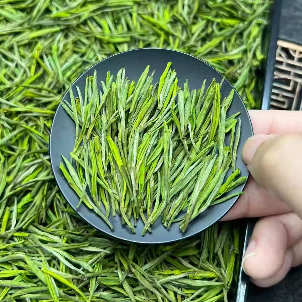 A150市场水晶白茶2025新茶叶原产地高山绿茶金香玉鲜香型金镶玉