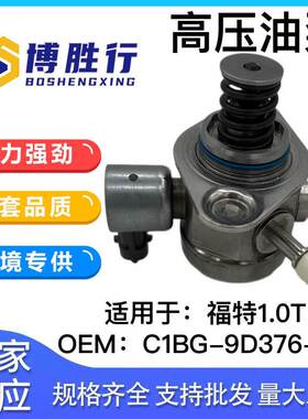 适用于福特1.0T高压燃油泵 C1BG9D376AA 0261520253 1762793