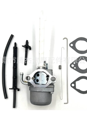百利通化油器适用Briggs & Stratton796122 794593 793161 696737