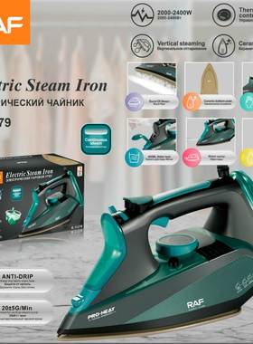 RAF欧规跨境2400W手持小型便携式衣服熨烫机家用蒸汽电熨斗11279