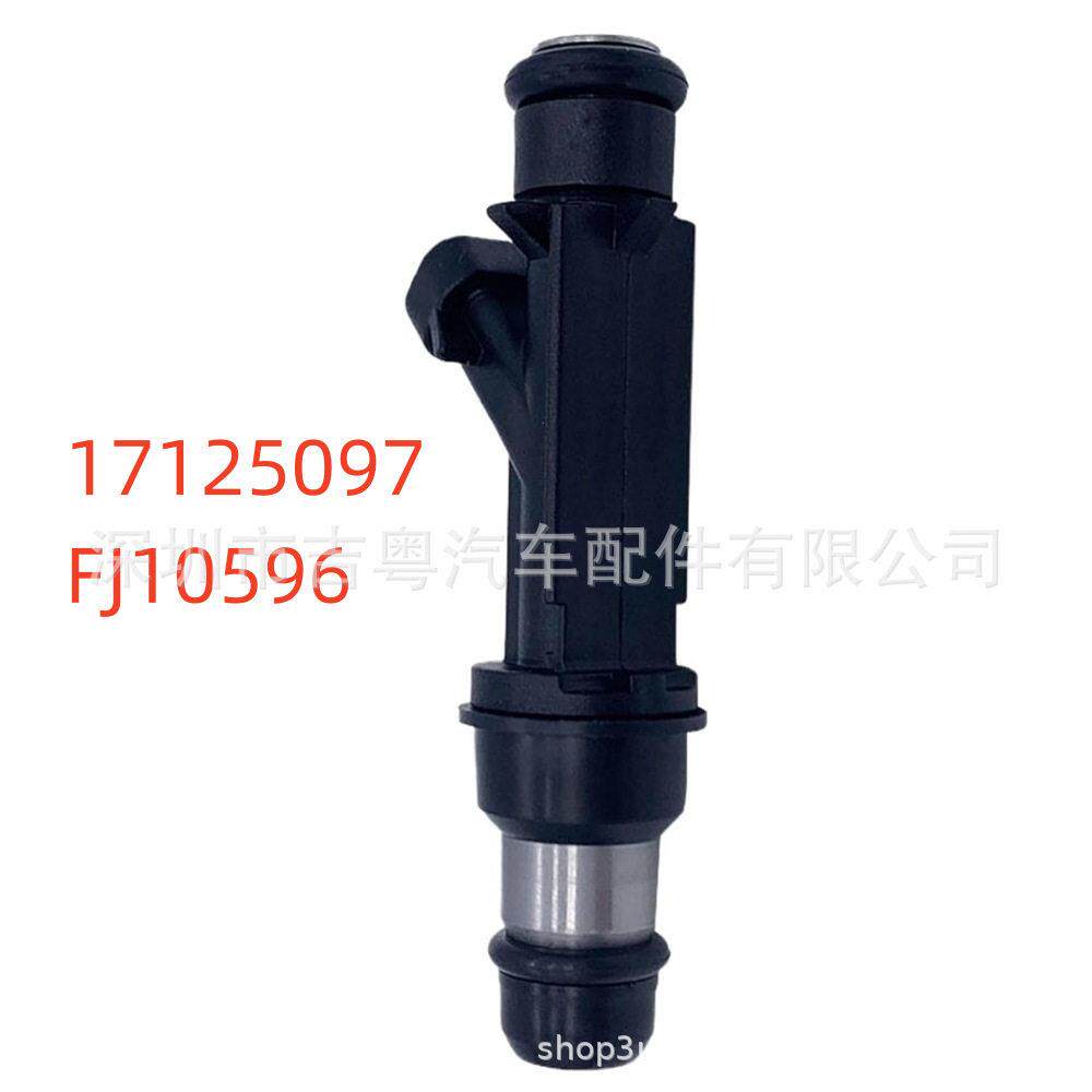 17125097 适用于大宇卢布林 喷油嘴 FJ10596燃油喷射器