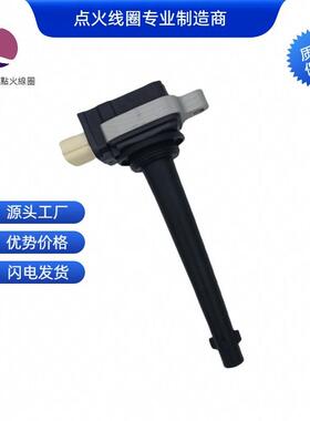 点火线圈0221504030 8200699627适用于雷诺风景/梅甘娜/纬度/风朗