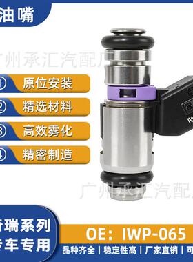 IWP-065适用奇瑞风云喷油嘴现货燃油喷射器专车专用