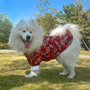 新年喜庆大狗狗衣服秋冬装二哈萨摩耶阿拉斯加中型大型犬冬季宠物
