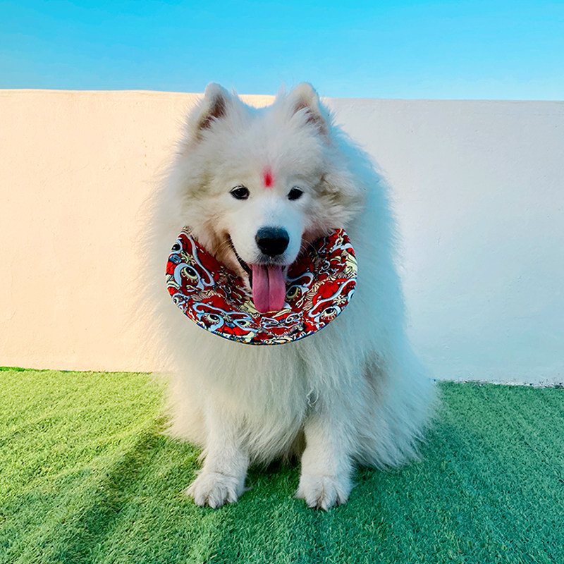 新年宠物狗狗中大型犬口水巾萨摩耶阿拉斯加金毛围脖口水围兜装饰