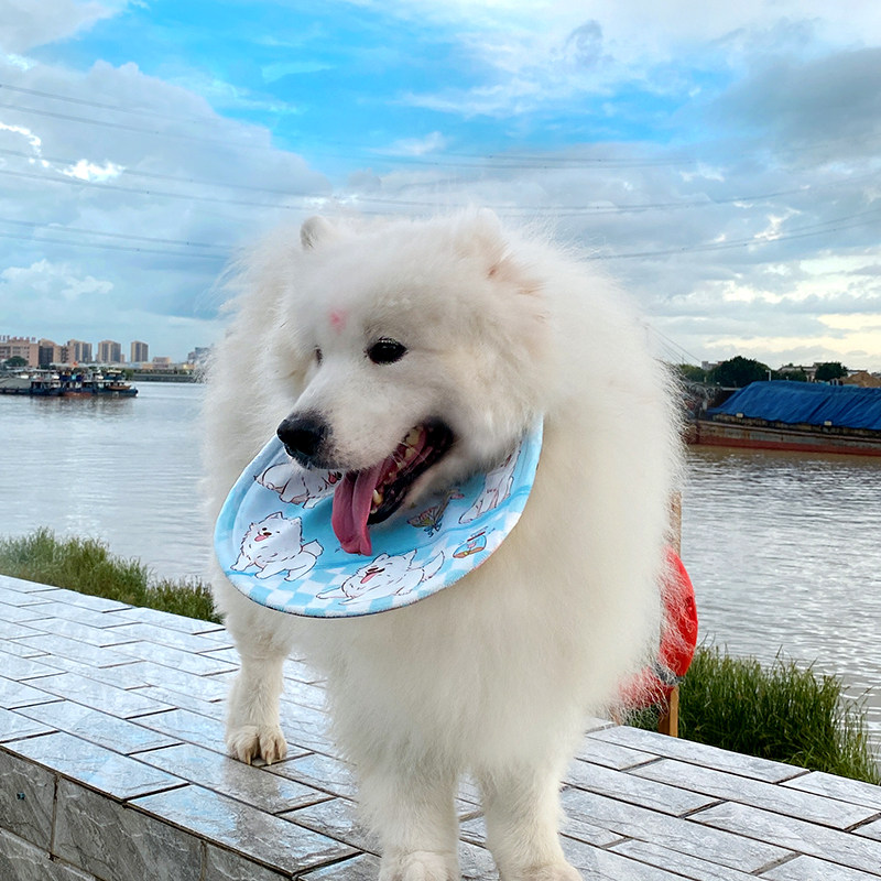 可立起口水巾中大型犬夏季防口水
