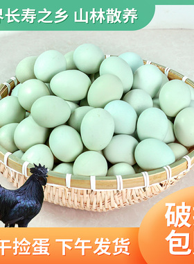 正宗山林散养全绿壳妇月子草鸡蛋乌鸡蛋玉米喂养40--50克大码整箱