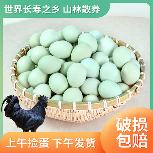 绿壳土鸡蛋乌鸡蛋40-50克大码