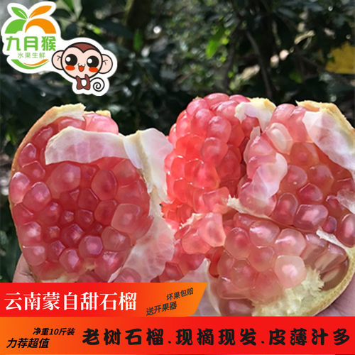 蒙自石榴九月猴孕妇水果时令新鲜
