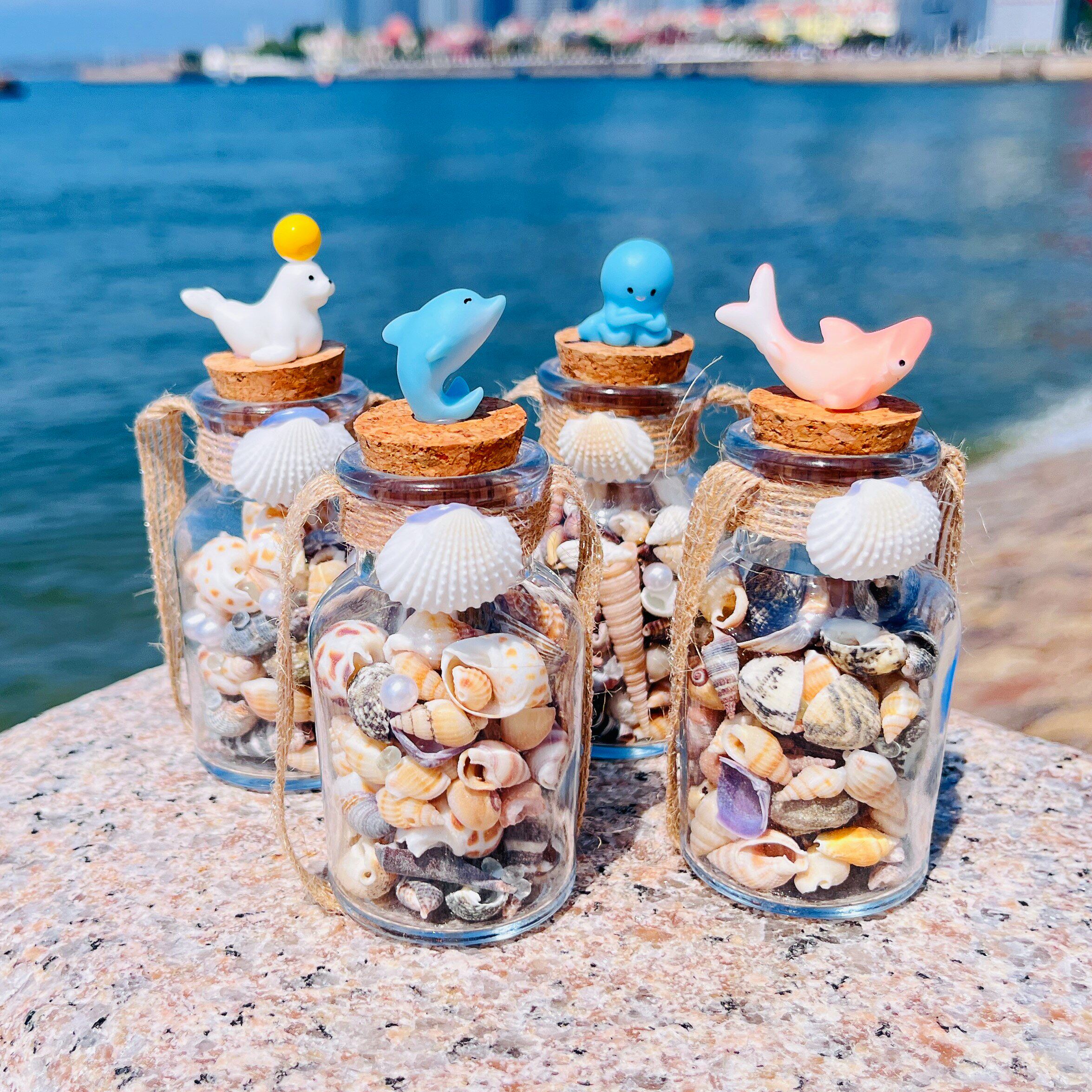 海洋迷你贝壳海螺装饰漂流许愿瓶手工diy创意礼品摆件青岛文创图片