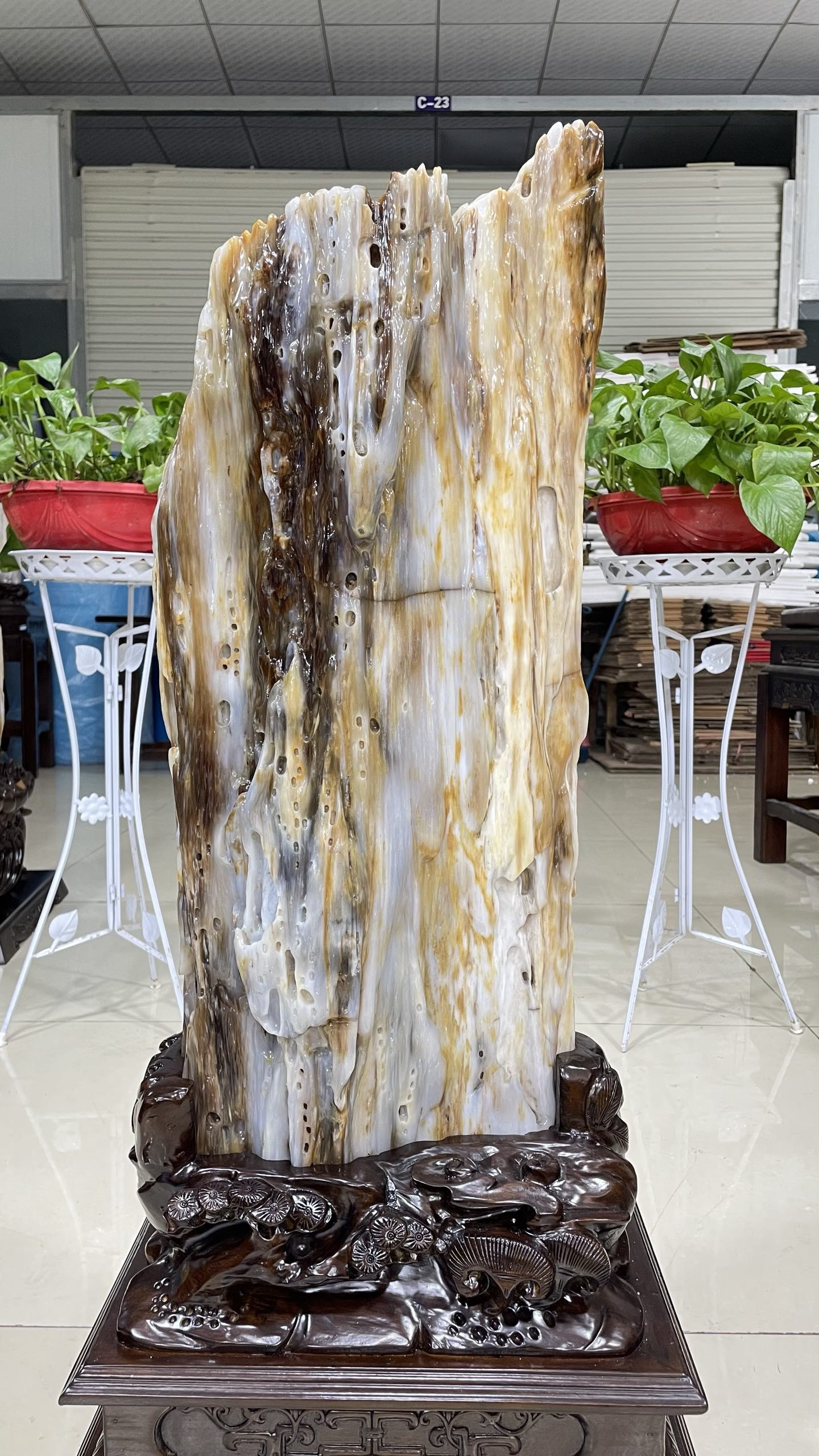 缅甸树化玉原石镇宅招财X12290号木化石树化石天然硅化木奇石摆件