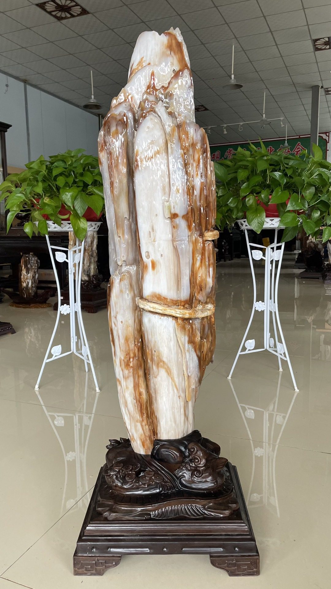 缅甸树化玉原石镇宅招财55211号木化石树化石天然硅化木奇石摆件