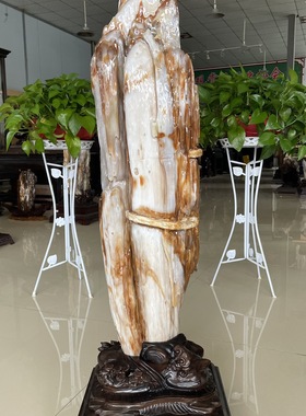 缅甸树化玉原石镇宅招财55211号木化石树化石天然硅化木奇石摆件