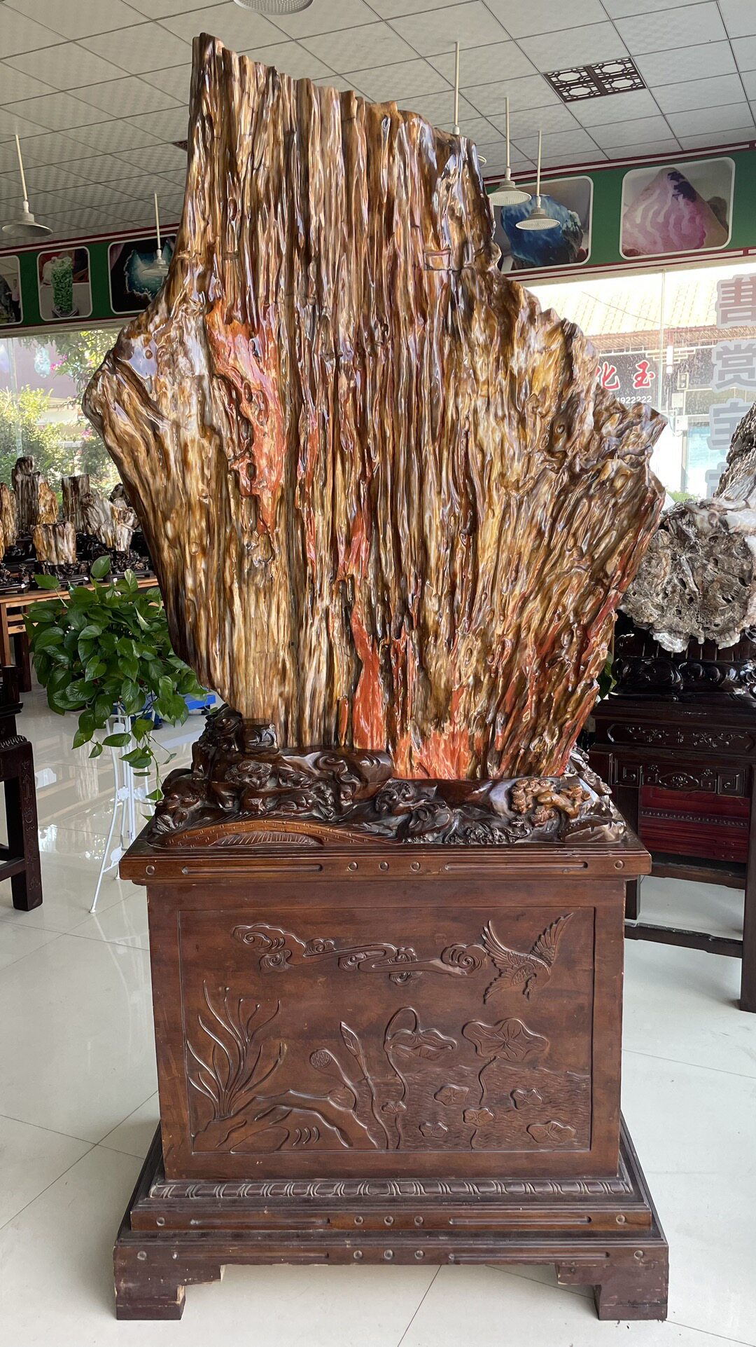 缅甸树化玉原石镇宅招财12770号木化石树化石天然硅化木奇石摆件