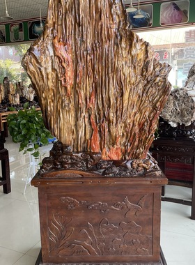 缅甸树化玉原石镇宅招财12770号木化石树化石天然硅化木奇石摆件