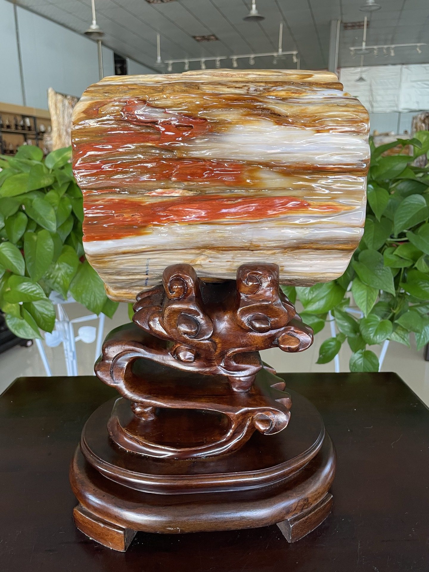 缅甸树化玉原石镇宅招财20240号木化石树化石天然硅化木奇石摆件,家居饰品,桌面摆件,淘宝优惠券,粉丝福利购,淘宝优惠卷