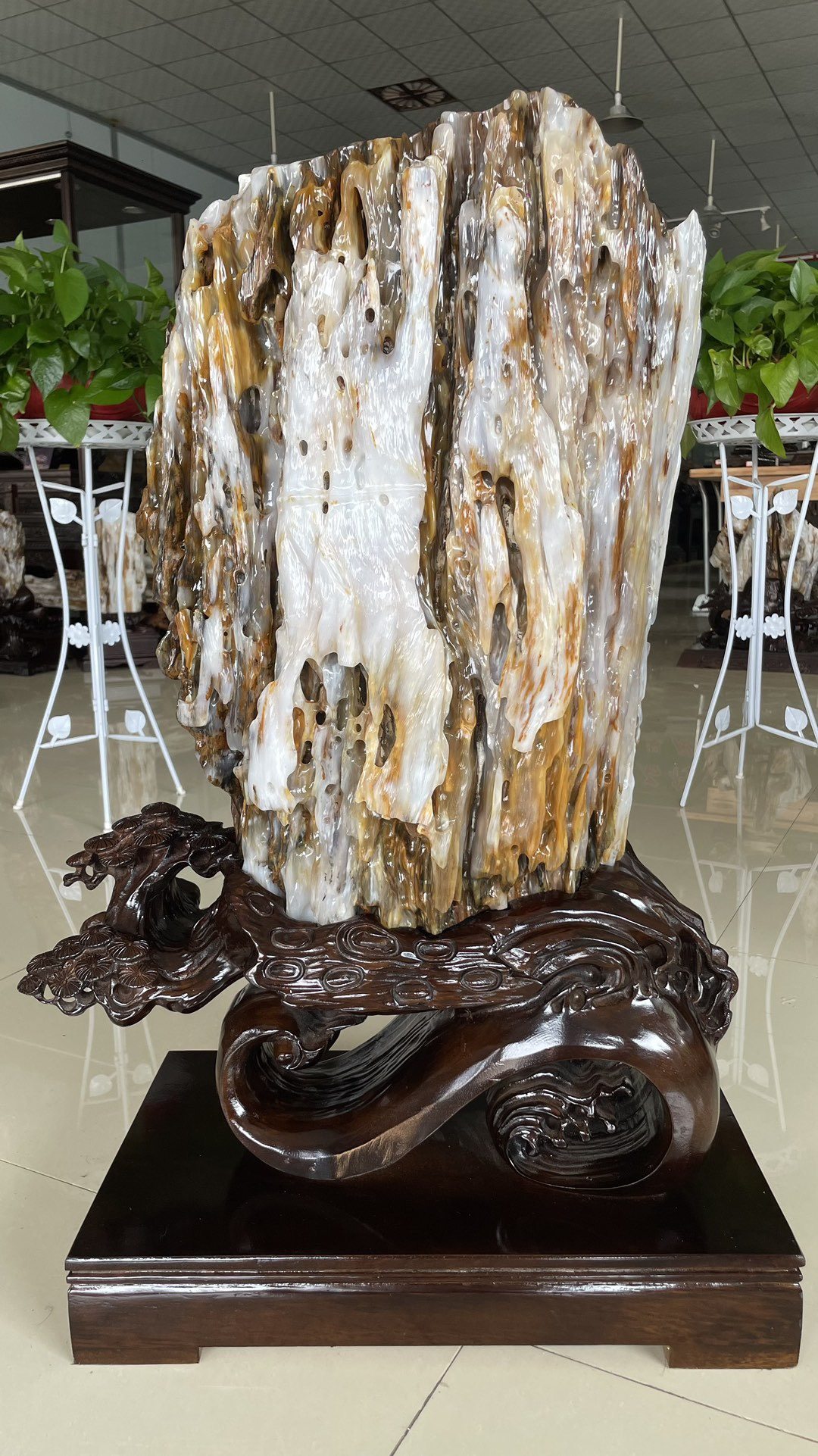 缅甸树化玉原石镇宅招财90460号木化石树化石天然硅化木奇石摆件